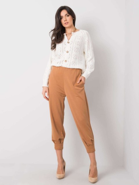 Spodnie dresowe 217-DR-25676.78P Spodnie dresowe 217-DR-25676.78P