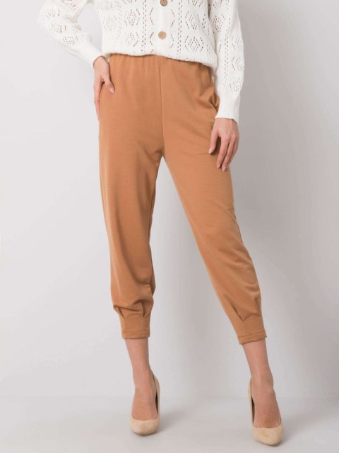 Spodnie dresowe 217-DR-25676.78P Spodnie dresowe 217-DR-25676.78P
