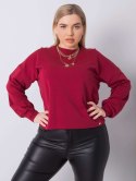 Bluza RV-BL-6317.94